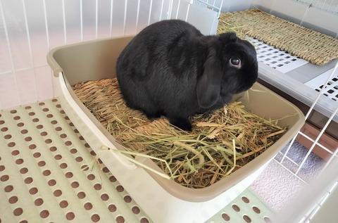 003C3C63-F90F-4417-9150-5DBC6EDB8489