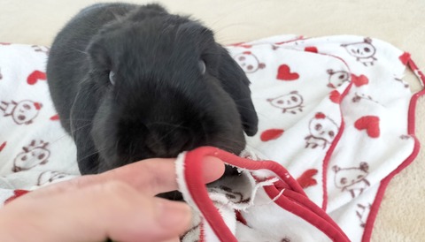 77EDB952-23B6-4658-BF1E-4021A5031538