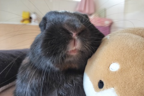 686079F5-50E3-47D1-94CD-A800D2589552