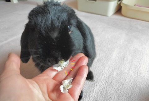 DAD2F0CC-6F41-46F3-9699-1E9F75C190F1