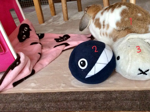 D9DF07A7-95F2-4DFC-A5C7-B6335CE8E1B8