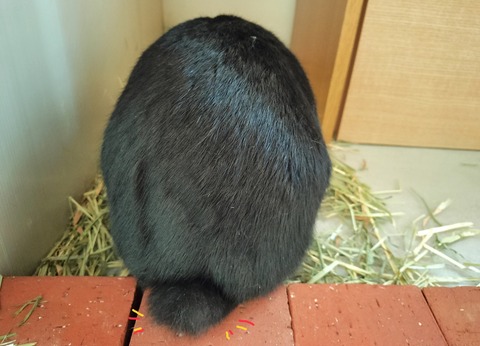 E6610D7B-7362-4507-97A3-842C721A5CCA