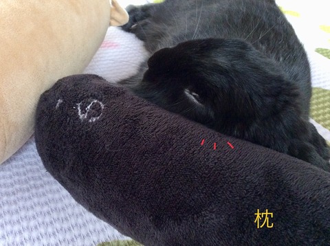 725F7509-753F-4AAE-827B-A823F4756504