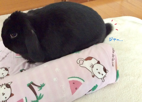 882F3976-E1D8-4309-86BD-D9114B4AAF2E