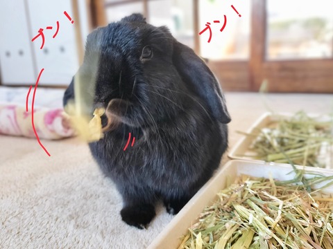 E74A5686-330B-45CF-9042-B8D1587A9305