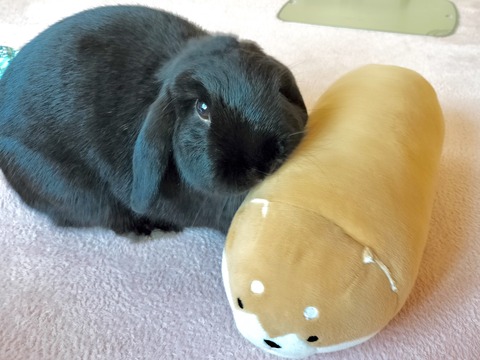 47CEC781-52A9-42C5-869E-4B3FABE8A4E0