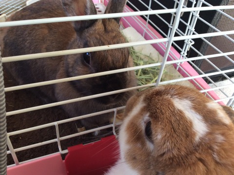 ED63D972-B1D6-4DAC-90F8-5C3F3FDB791B