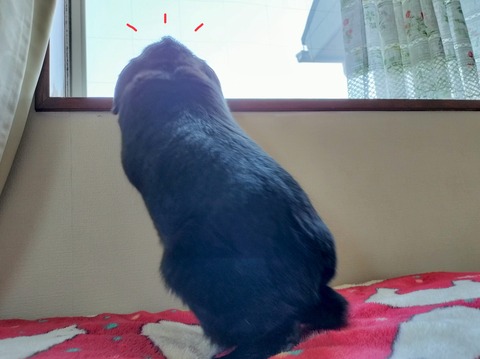 5D049C07-AA26-442F-AC59-36F51614C9B9