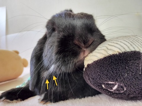 C25826CB-93DC-4AEC-97A2-C1528B12218F