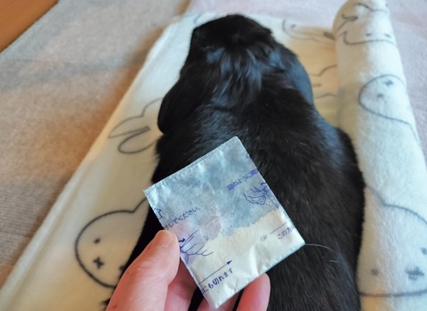 4BD9EEC0-9F34-4D66-B40B-CE31BACCD7E5