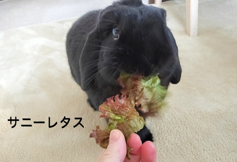 A1E4C6CB-FFD2-4651-B8A9-DE5AF0314E86