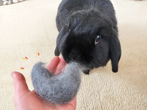 E5456A6B-7D2F-40BE-81E1-542BE5A30CBC