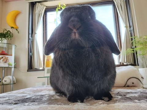 207EE64F-5508-4762-A57B-10DDF23AA40C