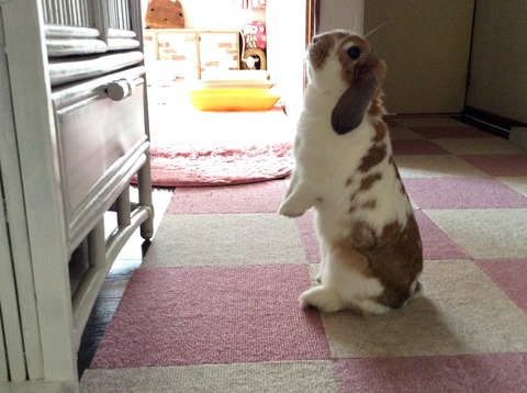 D144A8E7-0FE3-41EA-8DAE-36DD1F13DDEF