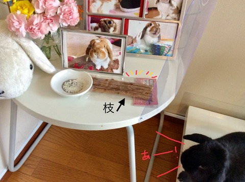 45F25099-E15A-48C9-B9DD-E3E196A27048