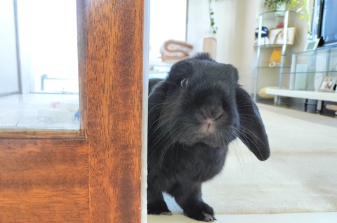 05A568DF-209C-4D2D-A447-BB382A8E4333