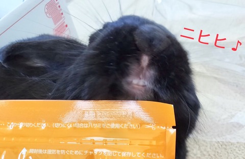 807A63CF-3CCA-4DBA-ABDD-4E30930FAA4D