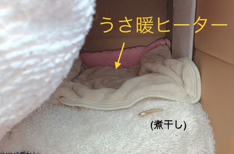 09FD5E21-DBD2-4095-93D6-EF06706A8B25