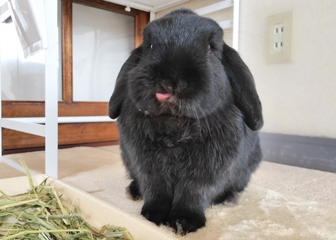 A86A2458-EE44-45F8-A4BB-60F3956F5579