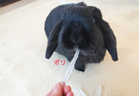 B1DDA959-337D-4AF4-B328-372F2B546172