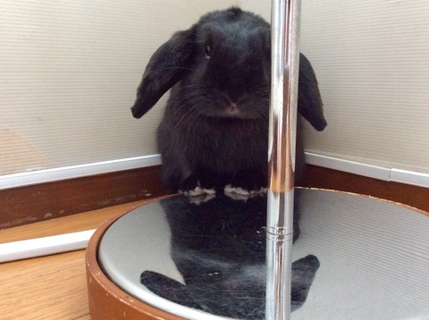 72B2196D-9FF6-462F-911C-C96A4930B24B