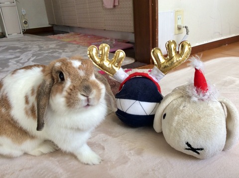 ED9BA22C-F3C5-479F-AF33-D6EDD7AF3690