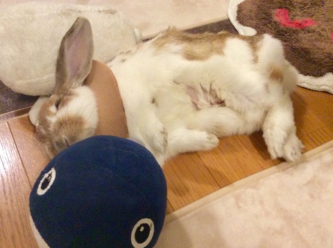 EC4B7946-C144-470E-84E9-F9435398386A