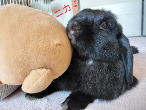 66BB884D-D6AF-4EB6-BDE3-0A62F2A7693A