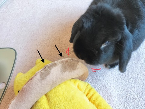 602BA4B7-195D-41E9-8C5C-EA57FB0ABAA5