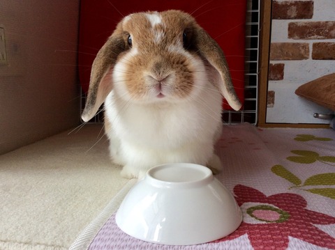 3AF3304E-8DC7-491F-8981-D3D1DB531B21