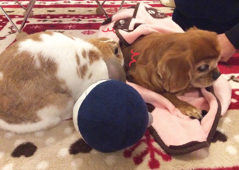 40ECDD64-3141-4F0F-8355-23196A158ADD