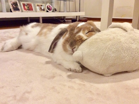 2208E6AB-9552-4EE2-A1E6-9C630274E150