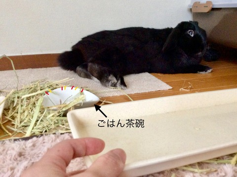 9D641F0C-9650-4940-9860-B49230B9276A