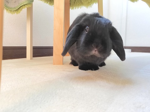 C4AB8113-EF5E-42C7-A80F-3771AFC9B98D