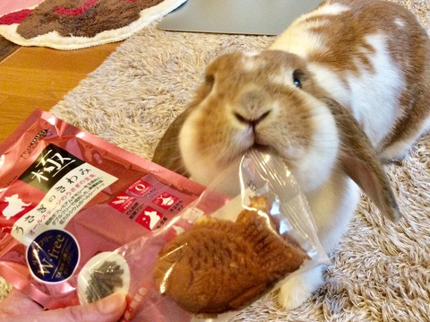 775C2783-0022-4F22-B6CF-2D68A3CDD83D