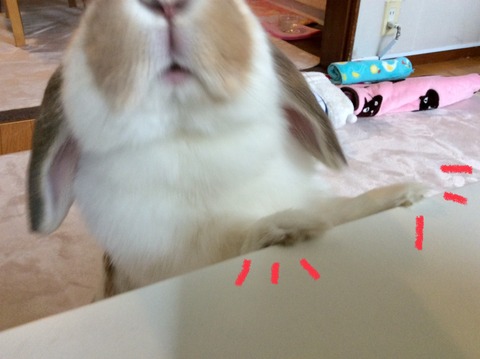 E80E7CDD-717E-4DC8-B040-99209E1C599A