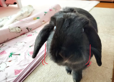 83862EDD-E8B3-4A01-B527-6B483F98A943