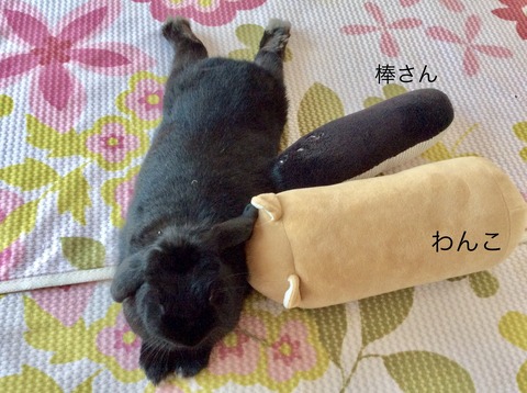 F05064BB-E676-4FE0-B952-FBF910B3F8EC