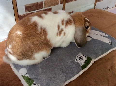 86B1BC5E-C883-4289-B90B-397C07B62EC8