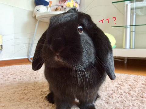 105F0422-F946-4998-8931-7045A4F5F621