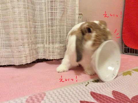 DC5A802B-97E0-4EE6-AF64-36F83B908BC2