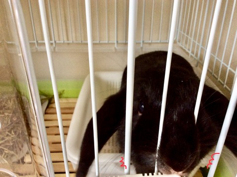 597AF339-A449-45D5-BA4F-016AE798F0D9