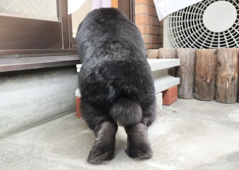 97CD3A87-497A-4D73-A1CA-B92F2E42EEE7