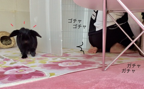 B252FFFB-B9EB-416E-AE1D-B08ED41A6BCA