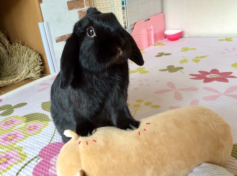 E82860EE-3486-45D4-9182-DCFE40D2A3FA