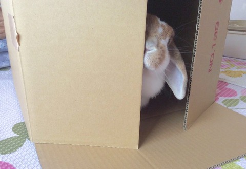 5A8081E0-A562-453B-B1E9-8A6A6E530EFD