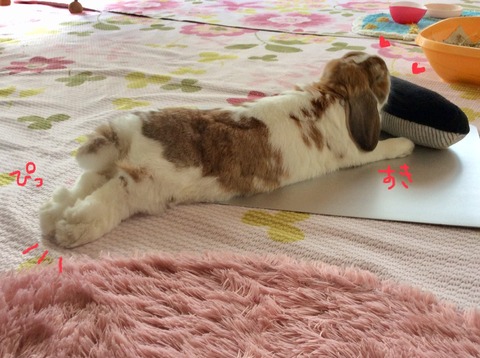 23FE2617-3329-4DF0-81D2-8930CF7E6613