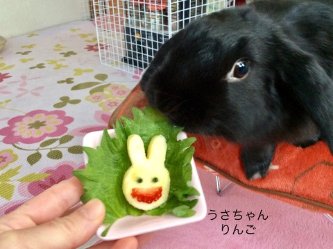 B414F093-989E-4775-A69B-B2DF8DEECABC