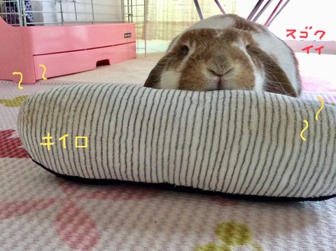 A7F5176E-869E-4F28-8C07-01C0F60179F0