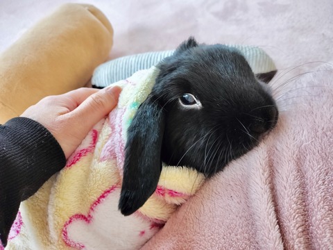 1D8B42FE-61E4-43D1-93BC-7043F1EEC064